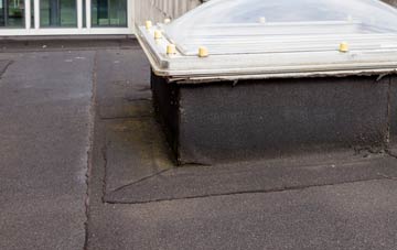 disadvantages of South Kensington flat roofs